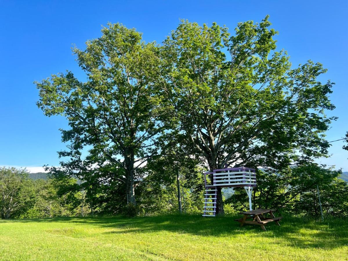 Agriturismo Il Serrino San Marcello Pistoiese Bagian luar foto